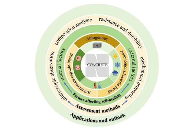 2025010909181736385505266022732.jpg 5.jpg