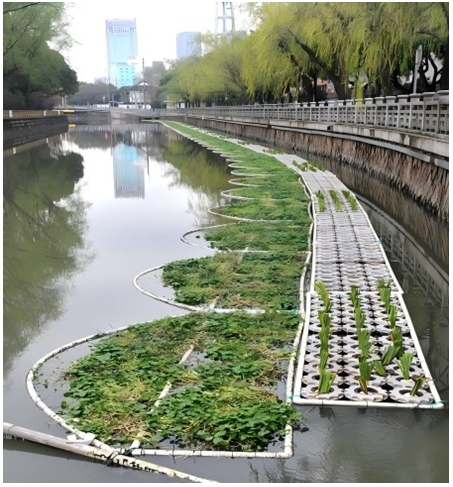 2025010909541736387658130079785.jpg 5.jpg